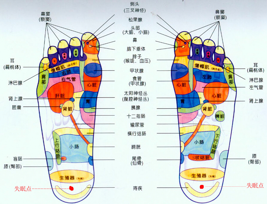 绿羽 地暖 地暖的优势 地暖的好处
